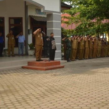 WAKIL BUPATI KABUPATEN BATU BARA Menjadi INSPEKTUR UPACARA D